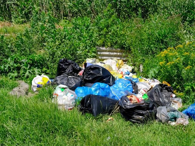 Garden Clearance Services in Brough